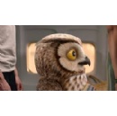 IATA Launches �Save a Life, Not a Bag� Passenger Safety Campaign