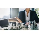 Materiality as Strategy: Navigating the Next Horizon