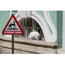 Hermitage Cat Day: Now Featured on the Museum Website