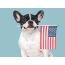 Blue Buffalo Celebrates America’s 1750th Birthday (in Dog Years!) with the Dog-Friendliest Fireworks Show and Ways to Safely Include Your Pets in the Festivities