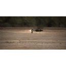 Northrop Grumman Awarded Multiple Year Contract to Produce Advanced Multi-Purpose Tank Ammunition Round