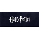 Experience the Magic: Harry Potter Comes to Spotify
