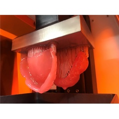 Kurzer Japan�s dental 3D printing business