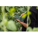 Telef�nica launches a Global Sustainability Plan, integrated into its business strategy, to drive transformation, growth and value creation