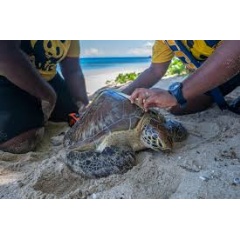 Tracking nature: how scientists measure biodiversity trends