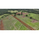 Telef�nica is driving the digitalisation of operational management in Negrat�n�s energy projects