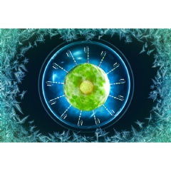 “With this approach, you could theoretically just thaw the cells and then inject them, without any extra processing steps,” says Ana Jaklenec.
MIT News; iStock