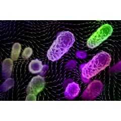 Researchers have created a new way to analyze how changes in indoor air flow can mitigate or promote infectious diseases.
MIT News; iStock