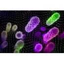 The importance of indoor airflow patterns in spreading airborne disease