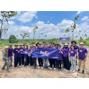FedEx Advances Climate Resilience in Vietnam Through Tree Planting and Mangrove Restoration