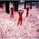 Yayoi Kusama (1929-2026)