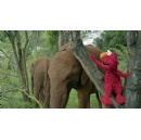 Nature Partners with Sesame Workshop on Primetime Safari Special, Sesame Street and the Great Elephant Adventure
