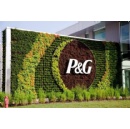 P&G: Building a Supply of Low-Carbon Raw Materials to Better Serve Consumers