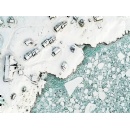 WWF: 1.5�C overshoot is a call for urgent action