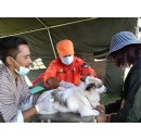 WHO validates Bhutan for eliminating dog-transmitted human rabies