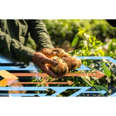 A new study focuses on forecasting future access to food, water, and energy in 2050. MIT News; iStock
