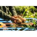 Study predicts large disparities in access to food, water, and energy in 2050