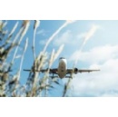 Ten Years on from CORSIA Agreement, Governments Must Strengthen the Global Framework for Aviation Emissions