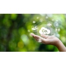 Telef�nica is embedding climate action across its business to accelerate its path to net-zero emissions by 2040
