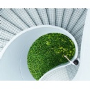 Lenovo Earns Dual Leader Recognition for IT Sustainability in Latest ISG Provider Lens� Digital Sustainability Reports