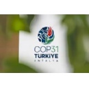 WWF: COP31 must deliver beyond the negotiating room