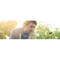 © Photo iStock.com/PeopleImages
At the Campus of the Senses in Erlangen, the Fraunhofer Institutes IIS and IVV and university researchers from FAU Erlangen-Nürnberg intend to study human sensory experiences and convert them into digital form.