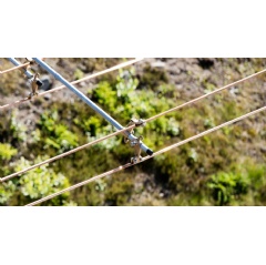 The importance of electrification to transport