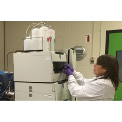 Research technician Susan Brown prepares the instrument for the analysis of artificial sweetener concentrations. Photo credit Pam Collins.