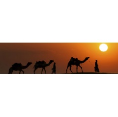 Middle East Gala Ceremony 2018 -
19 April 2018 - Ras Al Khaimah, UAE