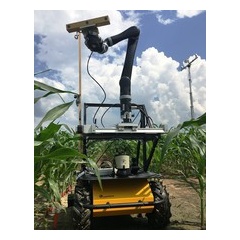 A mobile sensor tower and robot vehicle take 3-D images of corn plants.
Credit: Ali Shafiekhani, University of Missouri