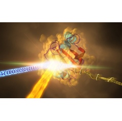 A still from the first movie of photosynthesis. The imaging technique captures ultrafast reactions.
Credit: BioXFEL Science and Technology Center