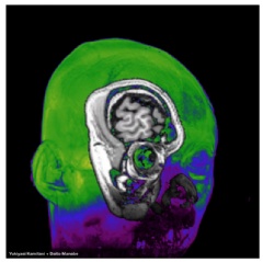 Yukiyasi Kamitani + Daito Manabe