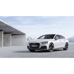 Audi S5 Sportback TDI
Static photo
Colour: glacier white