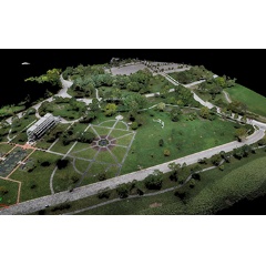 Researchers digitized 4,000 trees to