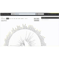 A Screenshot from ’Annotree’