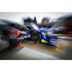 Jota Sport Silverstone 2019
Photo Clement Marin / DPPI