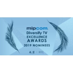MIPCOM-Diversify