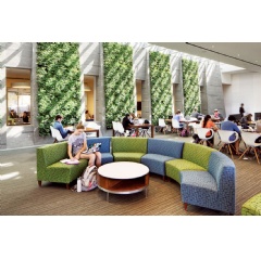 Georgetown University installed a GSky Versa Wall® in the student center at one of its residence halls.