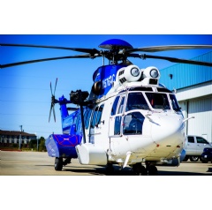 Dianne Bond (images)