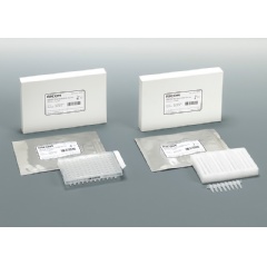 RICOH Standard DNA Series for Noroviruses