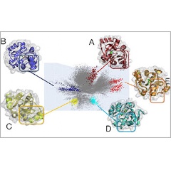 AI-driven molecular dynamics simulations may lead to new drugs to treat coronavirus.

Credit: Argonne National Laboratory