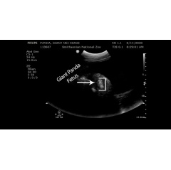 Smithsonian’s National Zoo and Conservation Biology Institute