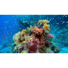 Egypt - Hurghada