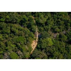 Credit:
 Christian Braga / Greenpeace