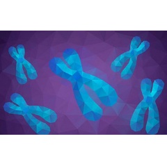 Scientists have discovered that chromatin in a cell is a solid, not a liquid

Credit: CSU