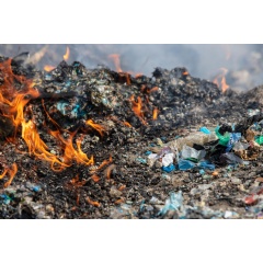 Dedepinari, Adana Province, Turkey
Credit:
 Caner Ozkan / Greenpeace