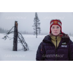 Forest and Reindeer Documentation in Muonio
Credit:
© Rasmus Törnqvist / Greenpeace