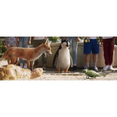 Various animals interact in