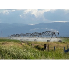 Water flowing deep underground from the Sierra Nevada into California’s Central Valley provides 10% of all water entering the valley, an amount measured for the first time in a new NASA study. The region relies heavily on underground water for crop