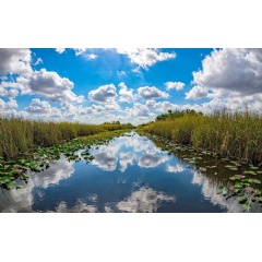 To Inform and Engage Residents Across Miami in Climate Resilience, Knight Foundation Invests in Two Local Groups - Vimarsana News